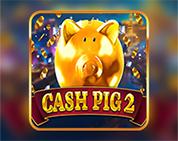 Cash Pig 2