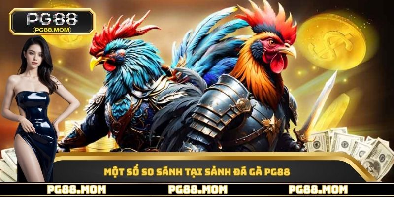 Một số so sánh tại sảnh đá gà PG88