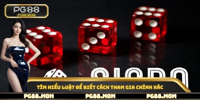 Tìm hiểu luật để biết cách tham gia chính xác